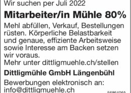 Oferty Pracy w Szwajcarii 24.06.2022