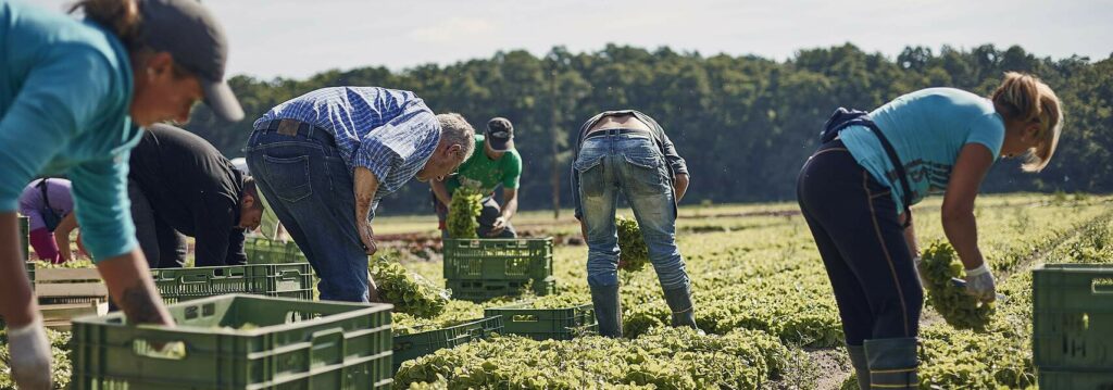 Praca sezonowa w Szwajcarii w 2026